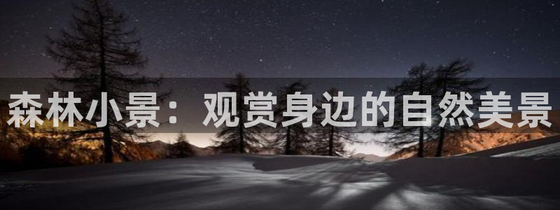 新宝gg创建奇迹