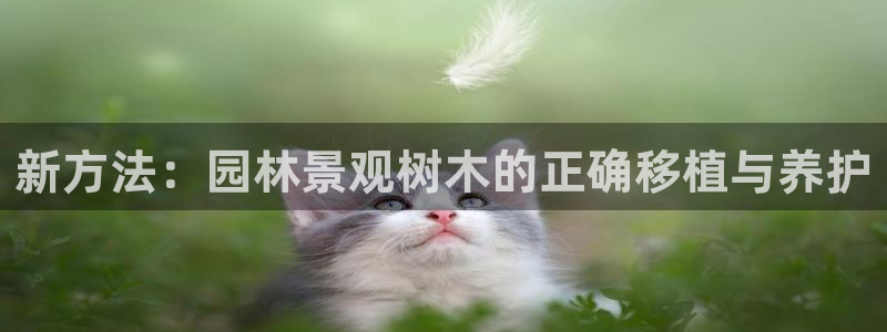 新宝gg娱乐主管q42873