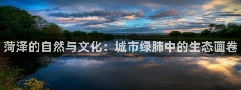 新宝gg至55312：菏泽的自然与文化：城市绿肺中的生态画卷