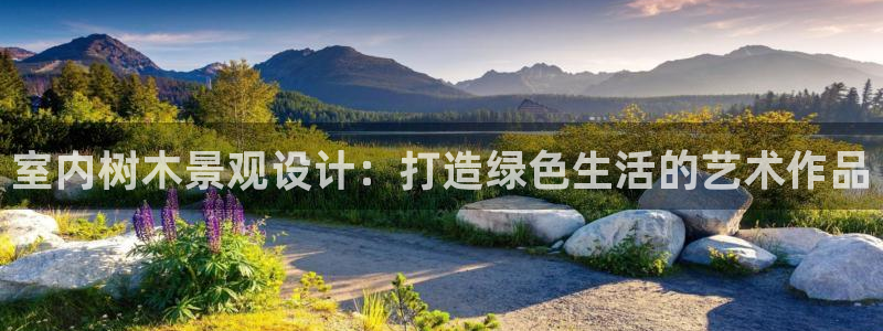 新宝gg客户登录：室内树木景观设计：打造绿色生活的艺术作品