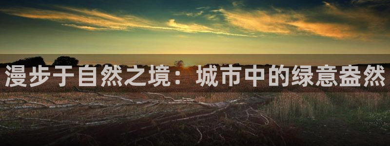 新宝gg娱乐上皇巢网