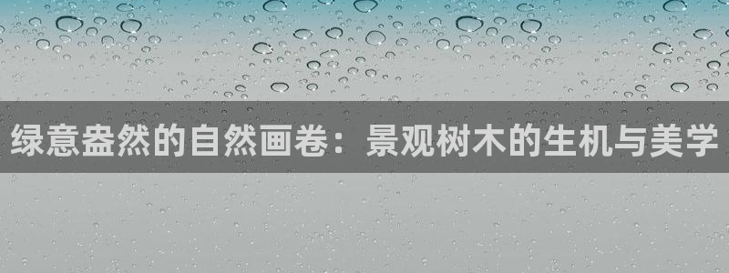怎么代理新宝gg