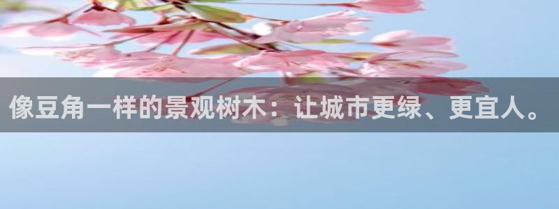 新宝GG苹果版：像豆角一样的景观树木：让城市更绿、更宜人。
