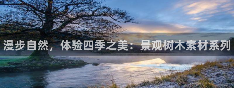 新宝gg登陆平台