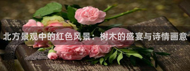 新宝GG于六七五一38