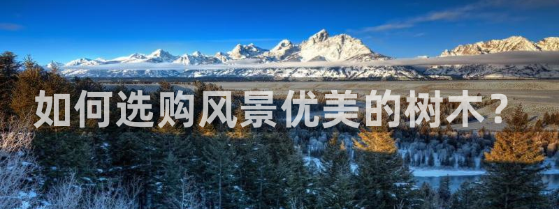 新宝gg 登录页面