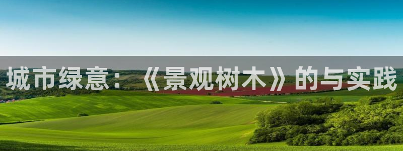 新宝gg如何赚钱