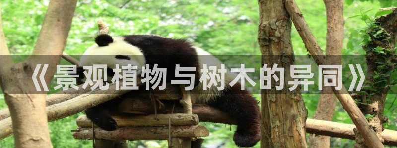 新宝 gg 登录注册