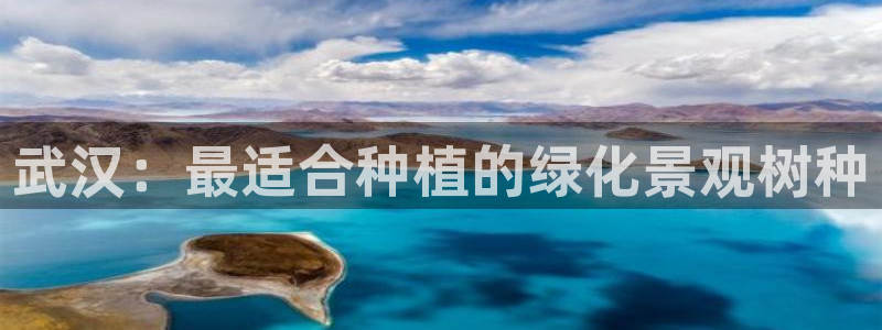 新宝gg创造奇迹平台