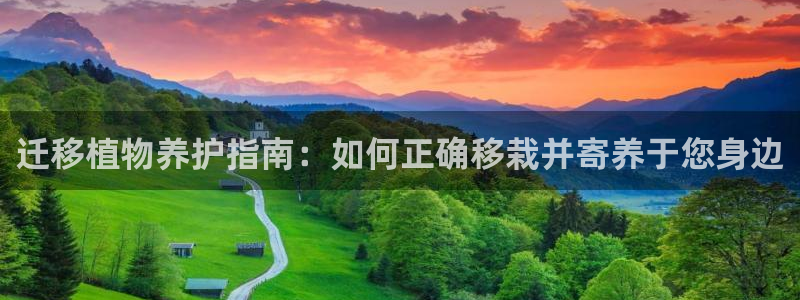 新宝gg为什么没人管