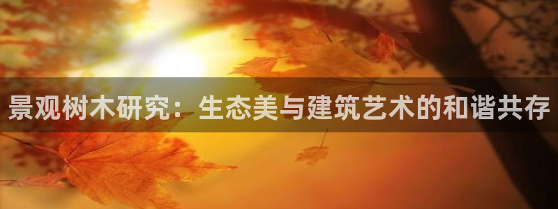 新宝gg推荐