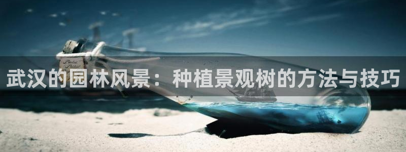新宝gg开好