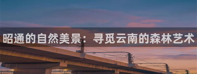 新宝gg注册登录网址