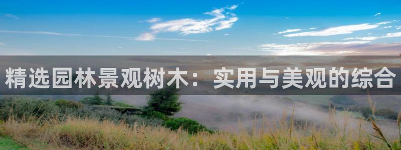 新宝GG创造奇