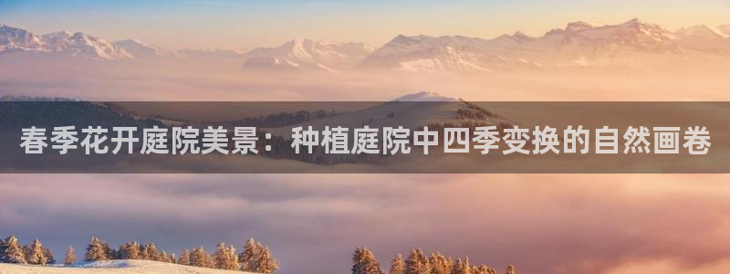 新宝gg开号