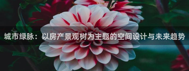 新宝gg如何