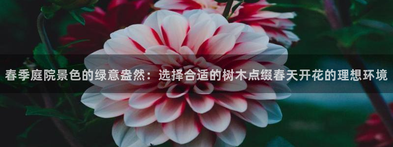 新宝gg-