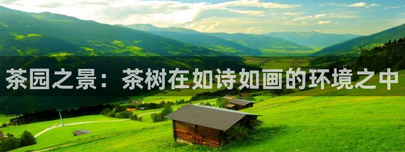 新宝gg主管花木兰