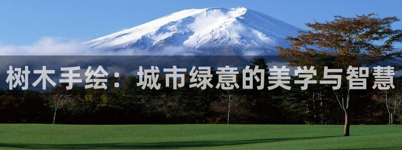 新宝gg注册新宝GG注册登录
