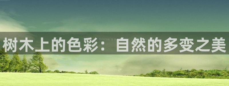 新宝gg网娱乐