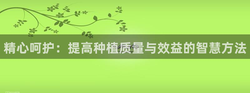 gg新宝创新