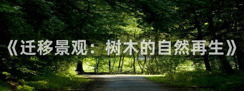 下载新宝gg