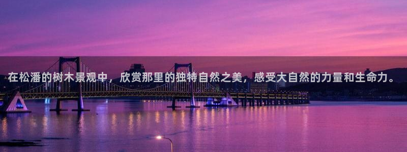 关于新宝GG