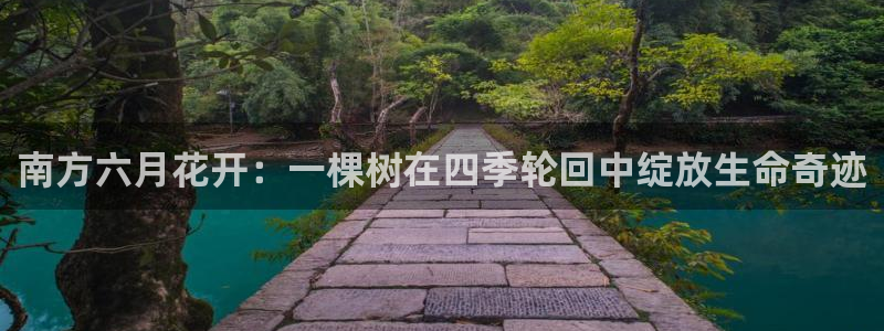 新宝gg图片