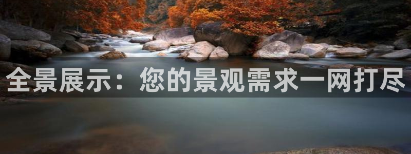 新宝gg评论