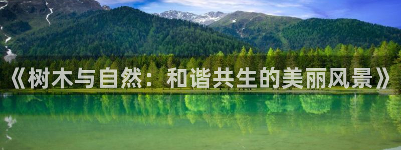 新宝GG挂机