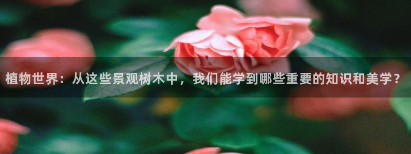 新宝gg专线
