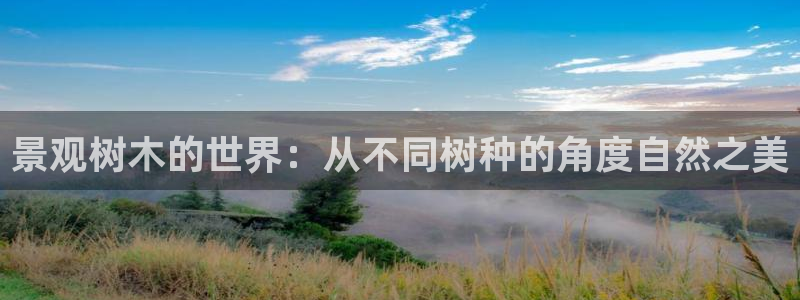 新宝gg娱乐首页：景观树木的世界：从不同树种的角度自然之美