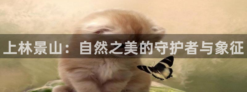 新宝gg总代理