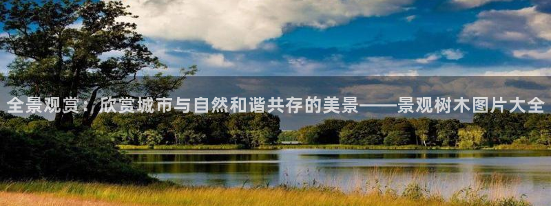新宝gg平台q891465：全景观赏：欣赏城市与自然和谐共存的美景——景观树木图片大全