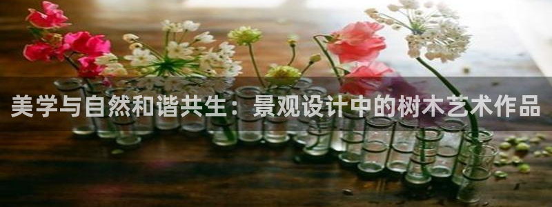 新宝gg官网