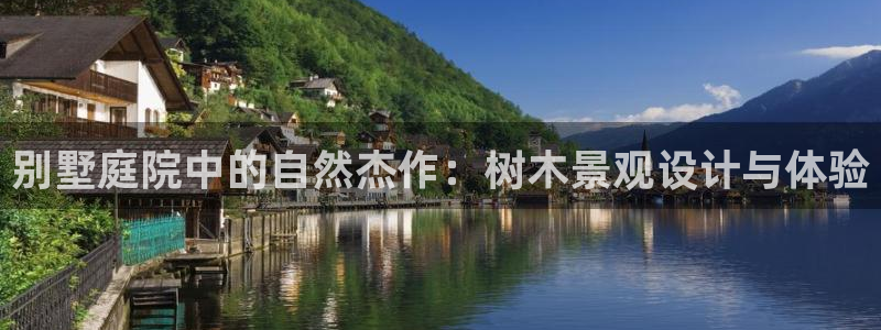 新宝GG挂机