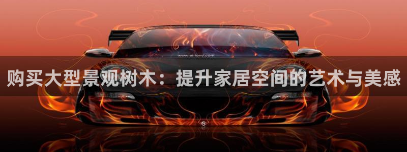 新宝gg登陆平台