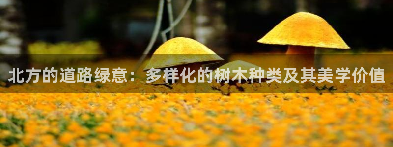 gg新宝gg：北方的道路绿意：多样化的树木种类及其美学价值